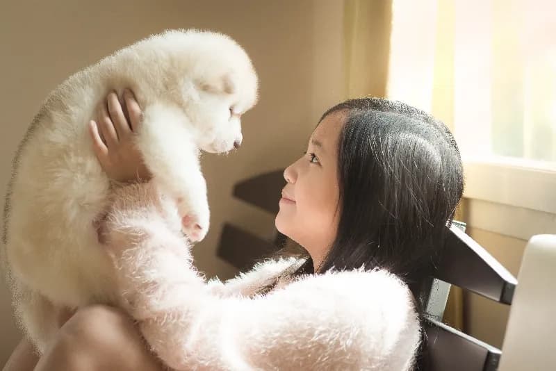 광주 강아지보호소 무료분양 매칭 사례 3
