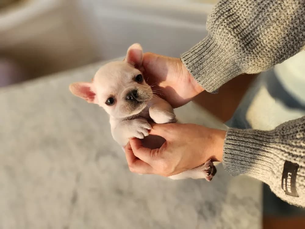 온·습도 집중 케어 룸 운영
