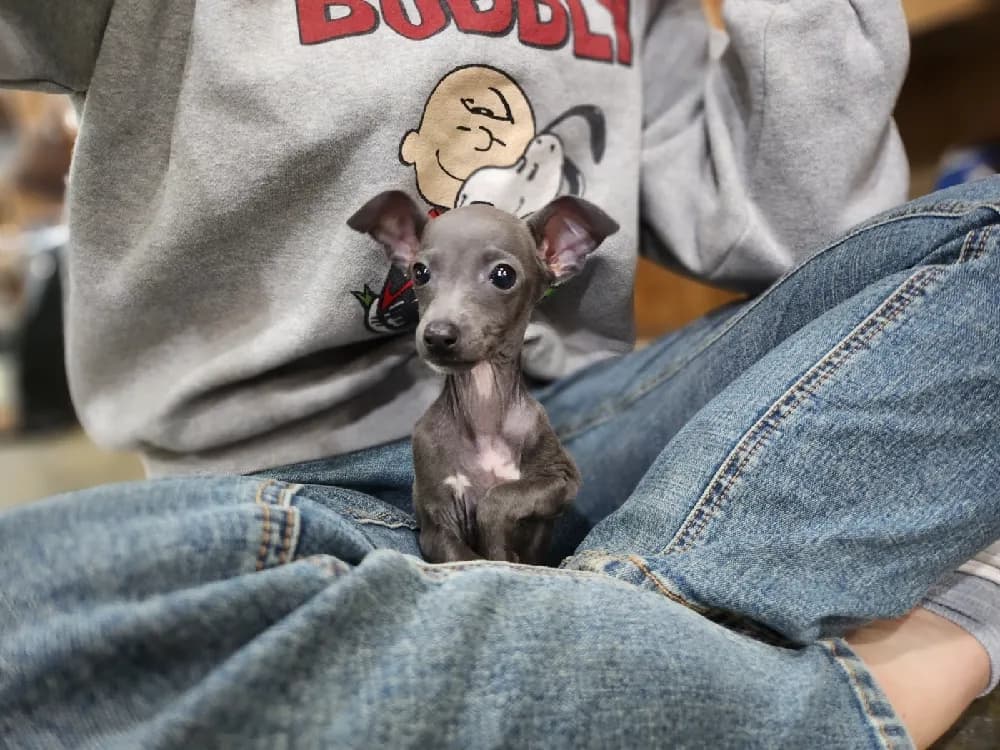 IG 전용 의류·방한 관리 컨설팅