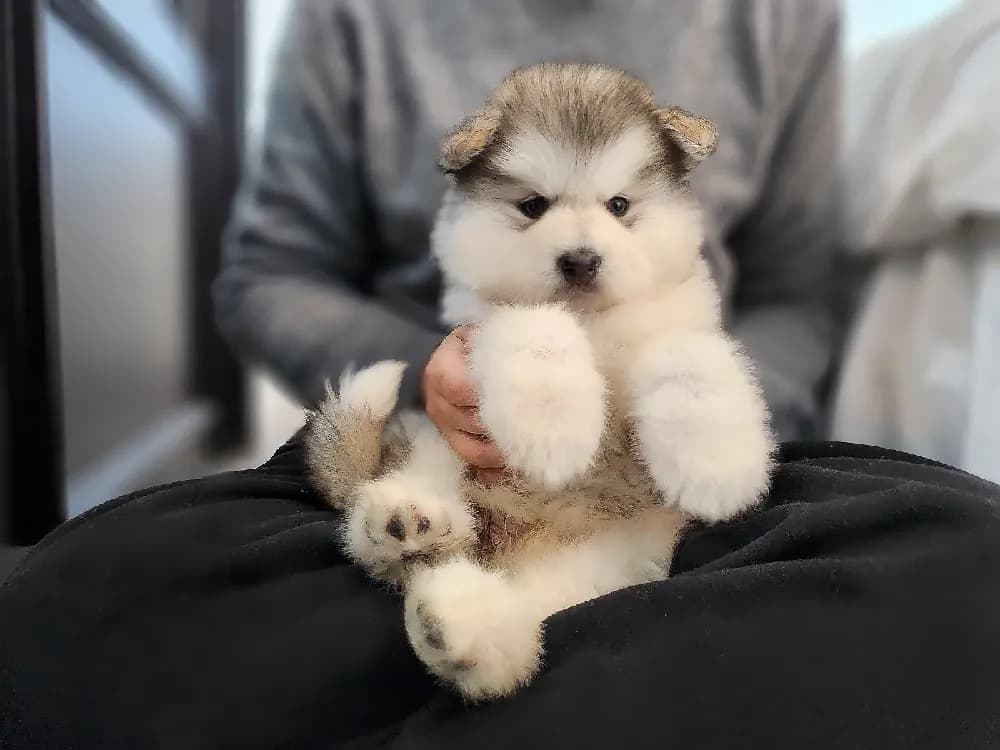 골격 및 관절 안심 검진