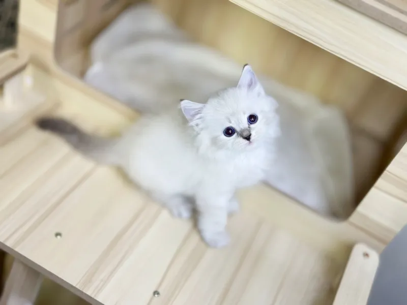 지역 밀착 맞춤 인계