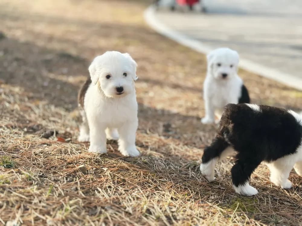 전국 안전 픽업 & 홈 딜리버리