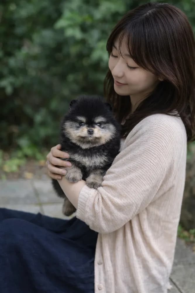 세종 강아지분양 세종 강아지분양 케어 모습 3
