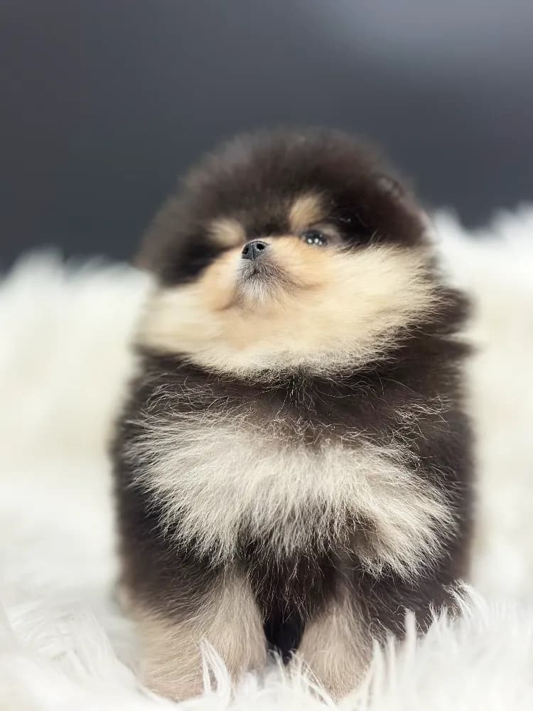 정밀 메디컬 체크업