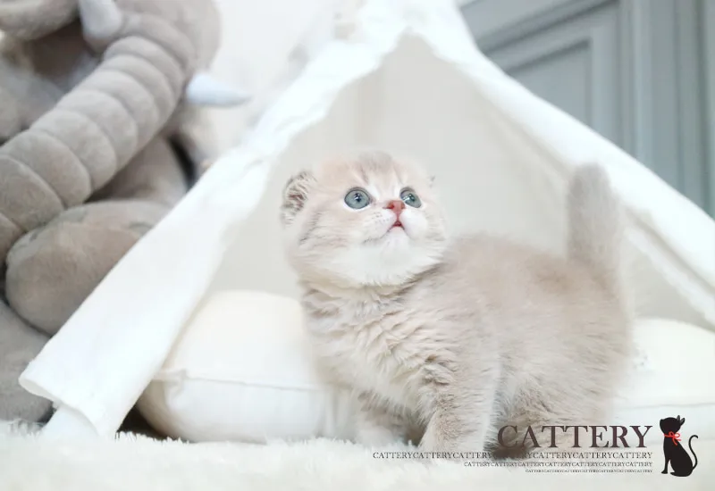 평생 건강 상담 및 제휴 병원 의료 지원
