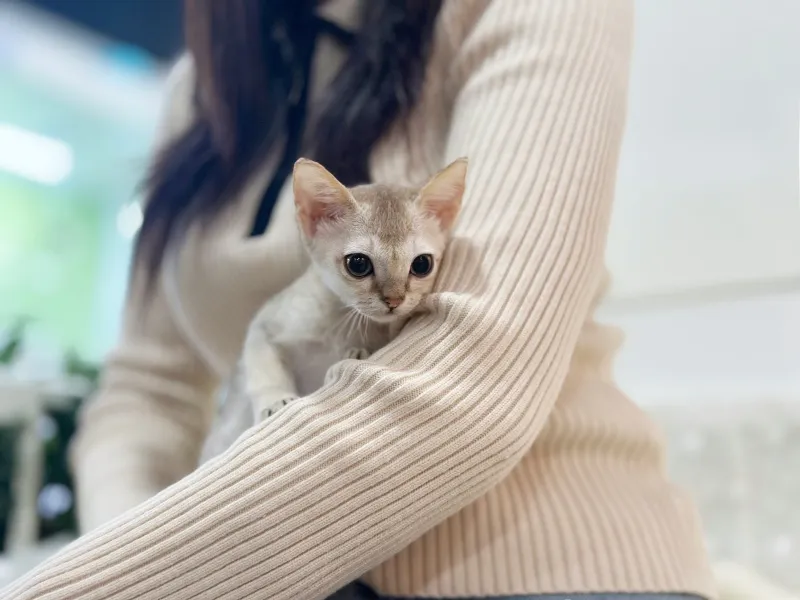 첫 반려 준비 스타터 패키지