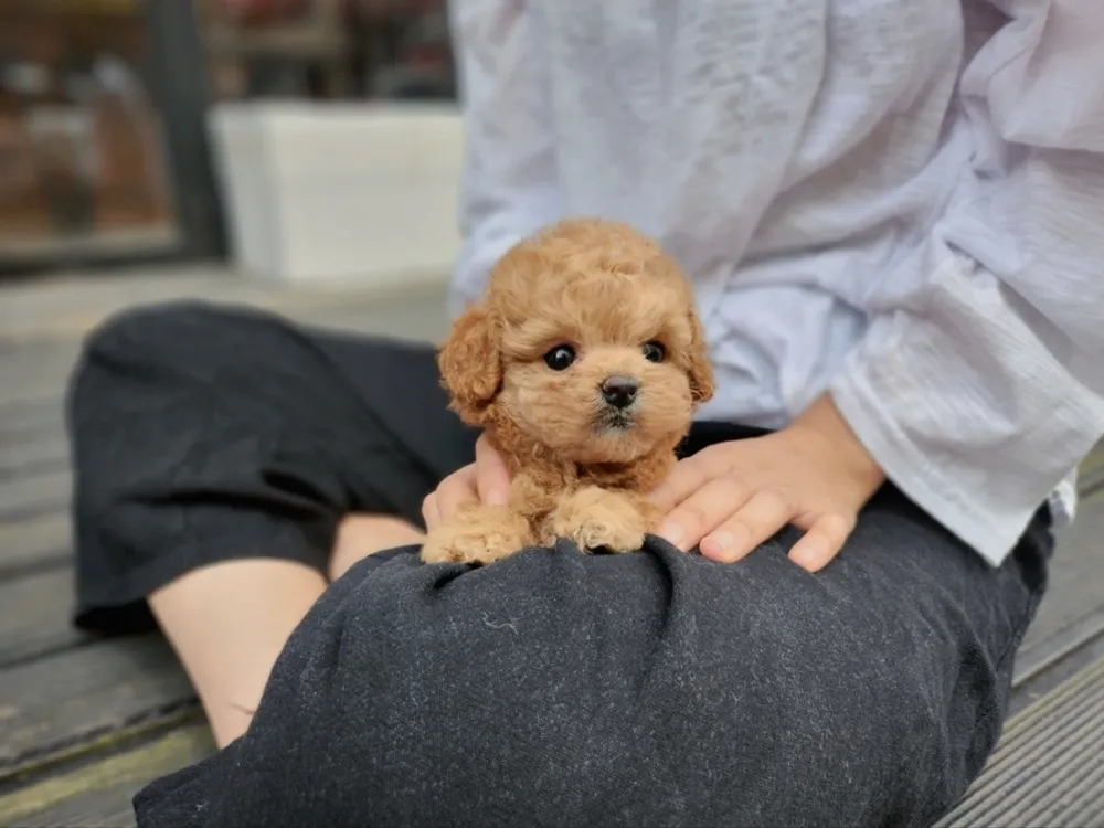 성장 단계별 온라인 피드백