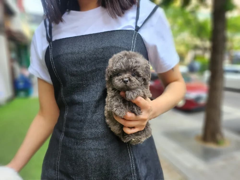 제휴 병원 메디컬 네트워크