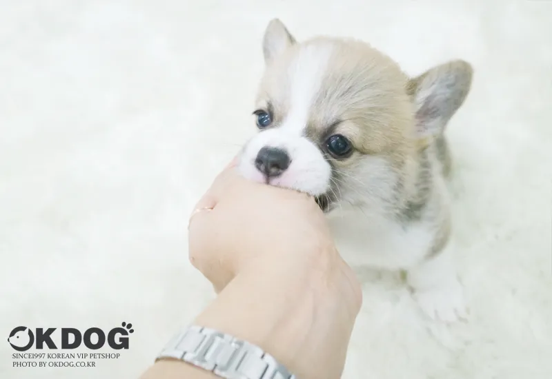 1:1 라이프스타일 매칭 분양 상담